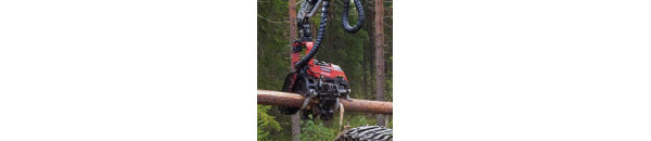 Гидроцилиндр для Харвестерная головка VALMET/KOMATSU 350.1